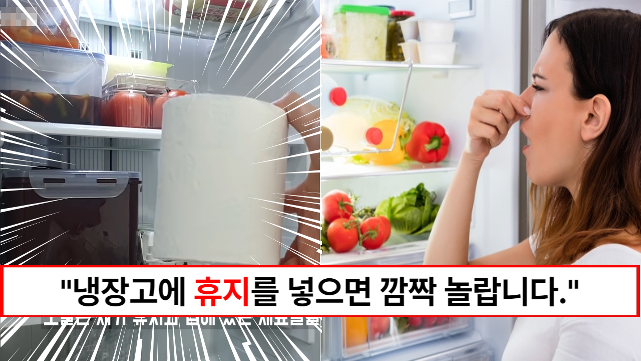 "냉장고에 휴지를 넣어보세요" 스트레스 받던 냉장고 냄새를 없애는 방법 2가지