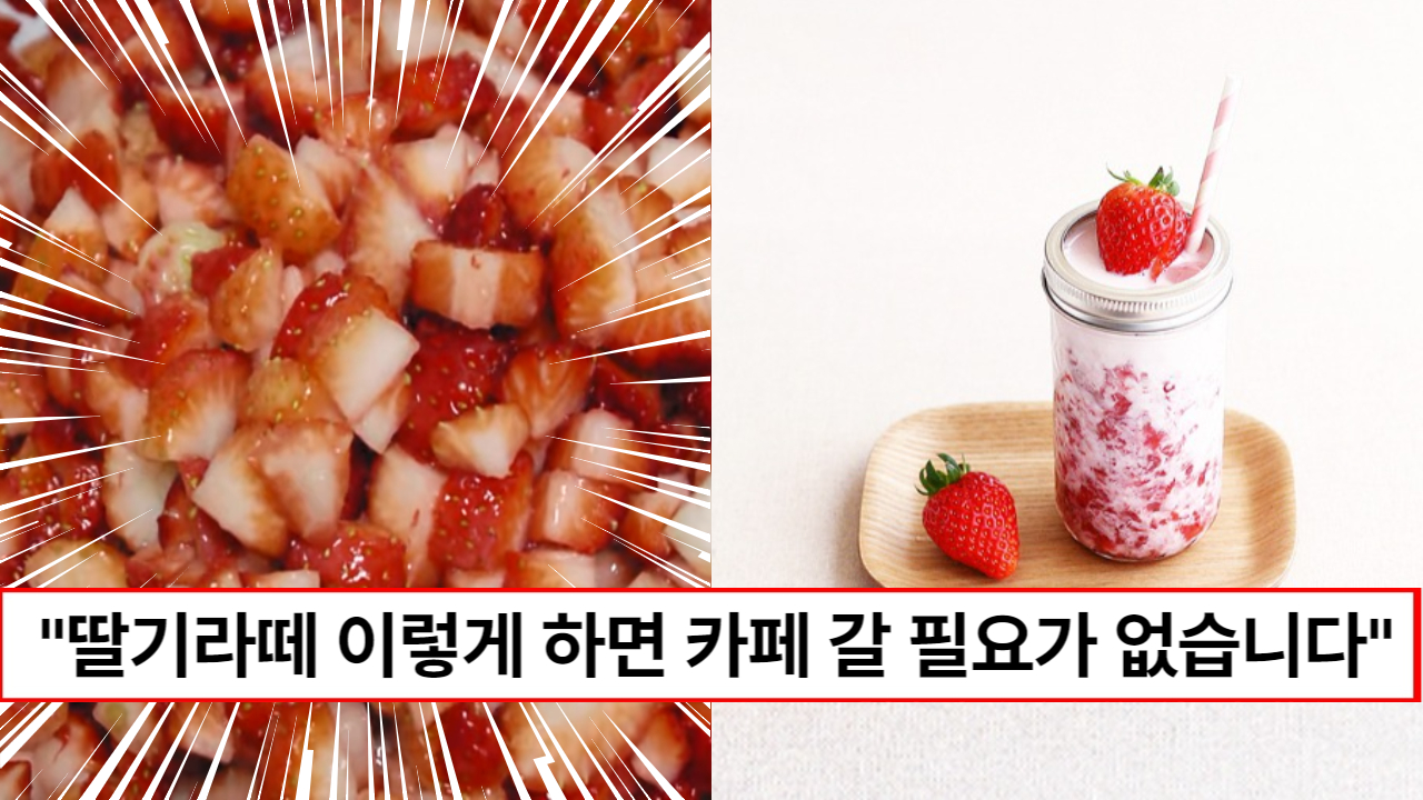 "딸기라떼 밖에서 사먹지 마세요" 집에서 만들어 더 건강하고 맛있게 즐길 수 있는 딸기청 만들기