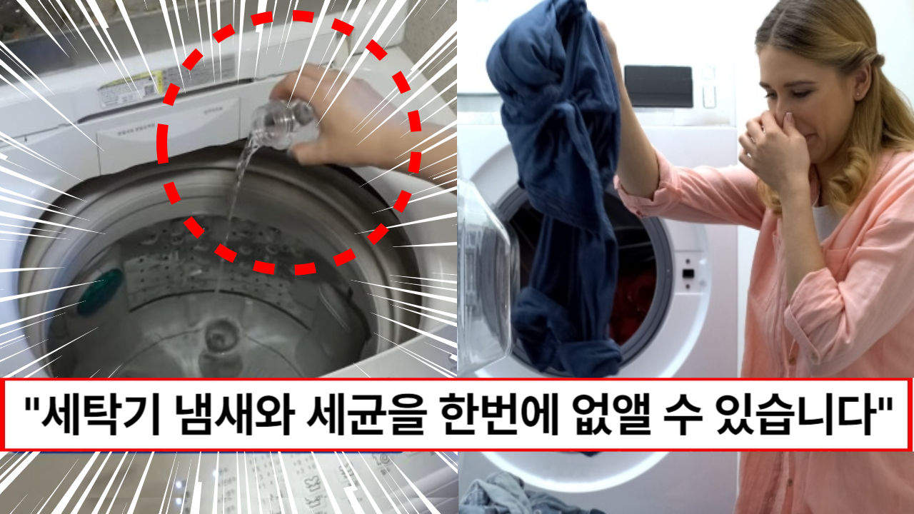"천원이면 세탁기 찌든때가 사라집니다" 세탁기 안의 세균과 냄새의 원인을 잡을 수 있는 식재료 1가지