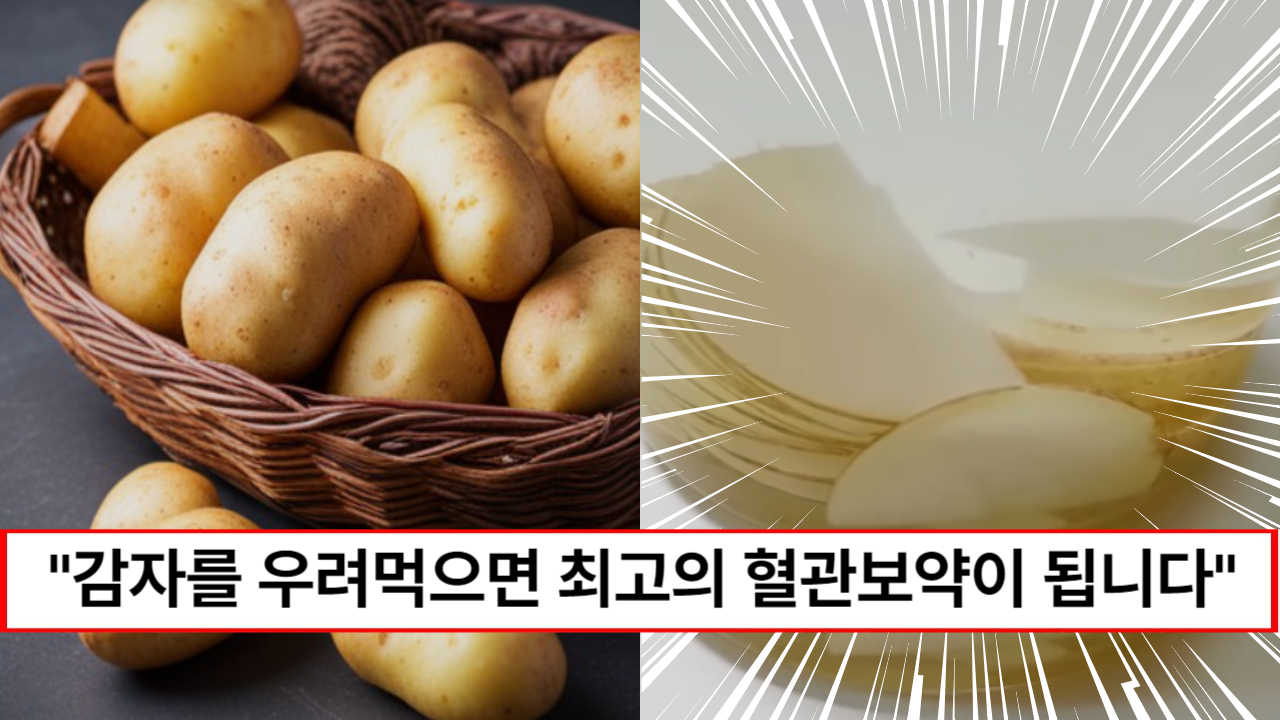 “혈관에는 감자가 최고입니다” 감자 속 영양분을 제대로 흡수하게 도와주는 감자수 만드는 방법