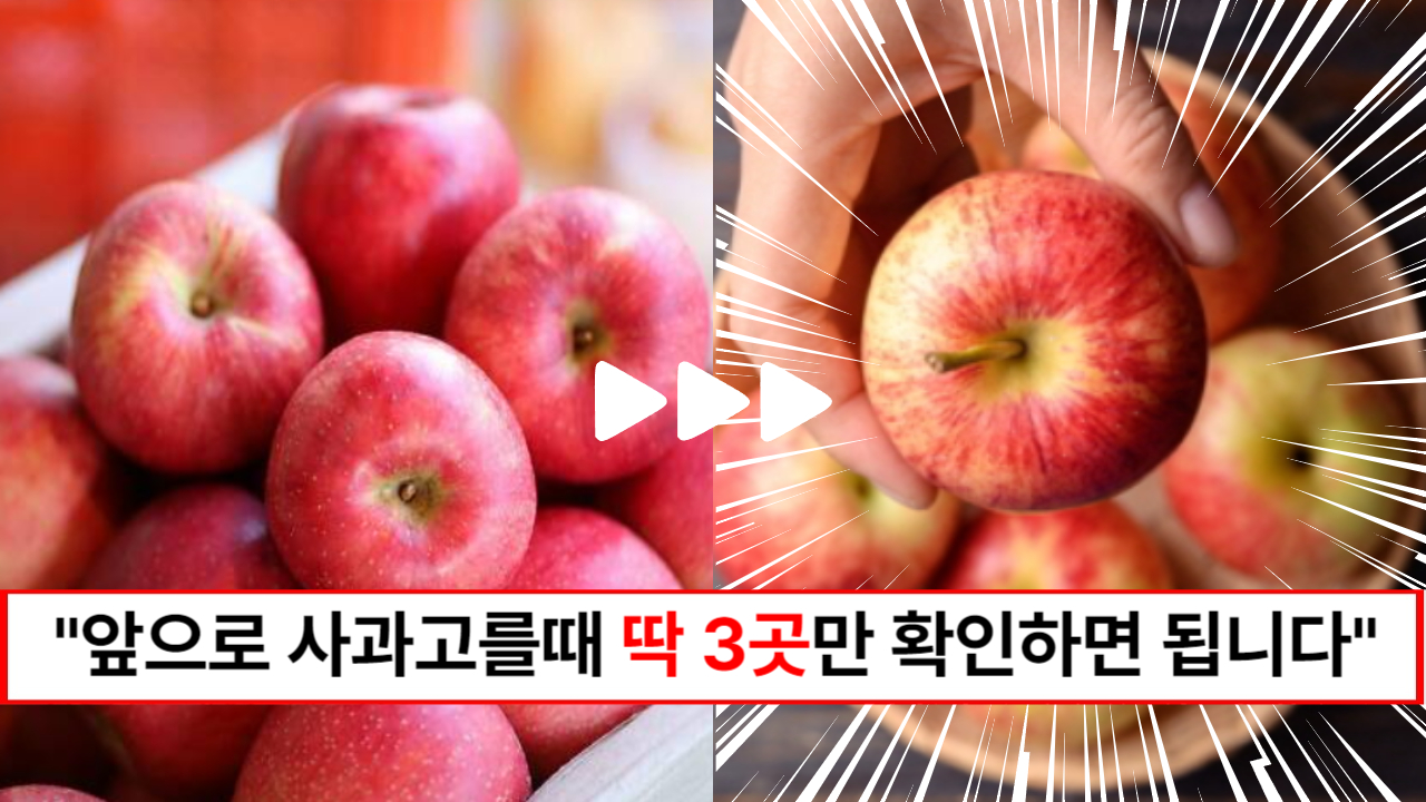 “사과 살 때 이건 꼭 보고 사세요” 과일가게 사장님이 알려주는 100% 맛있는 사과 고르는 방법 3가지