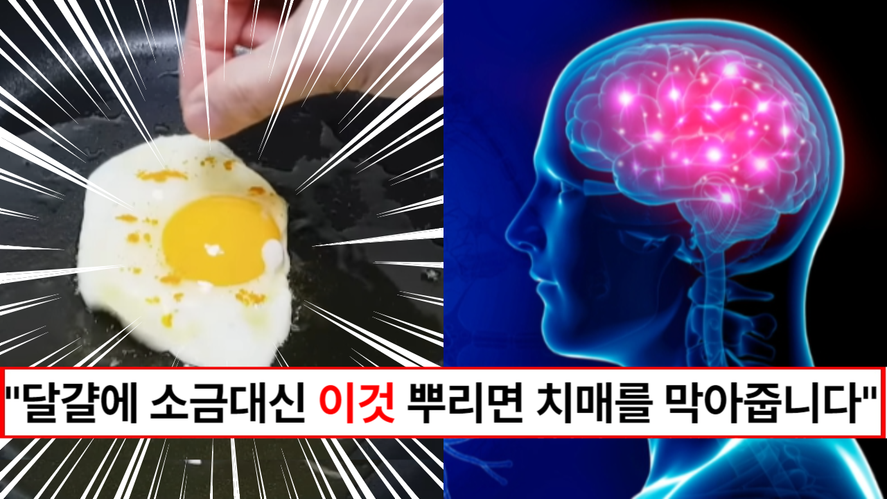 "계란후라이에 소금 대신 꼭 뿌리세요" 뇌 신경세포의 생성을 촉진해 치매예방에 큰 도움을 주는 방법